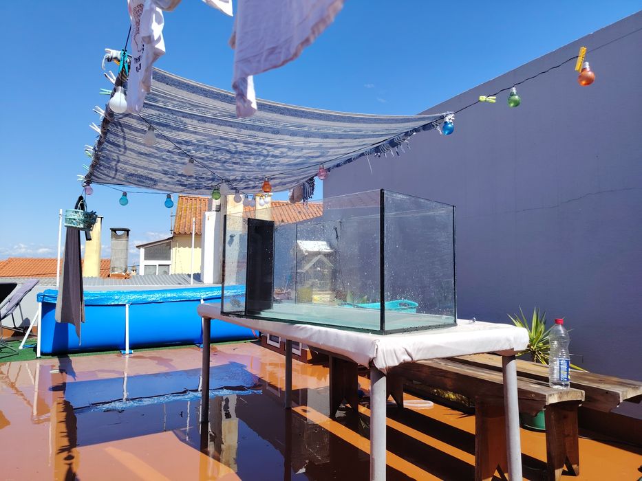 Vendo Aquário C/Movel
