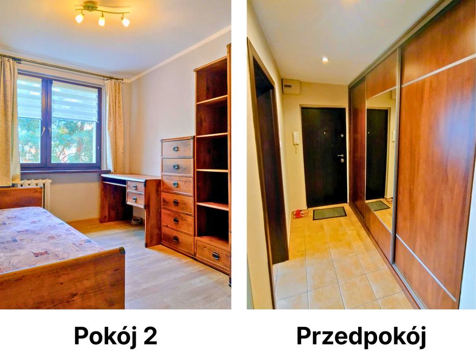 Zdjęcie 3