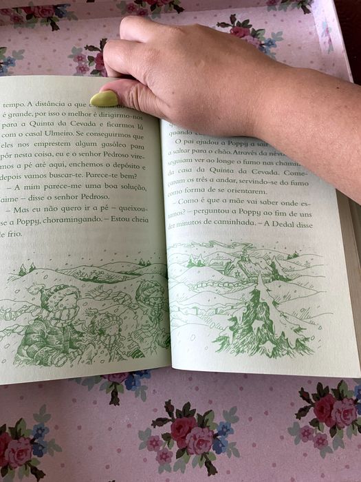 Princesa Poppy - Sonhos de Ballet - PORTES INCLUÍDOS (LIvro 6)