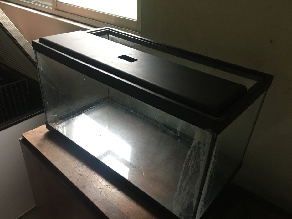 Aquarios pequenos e médios