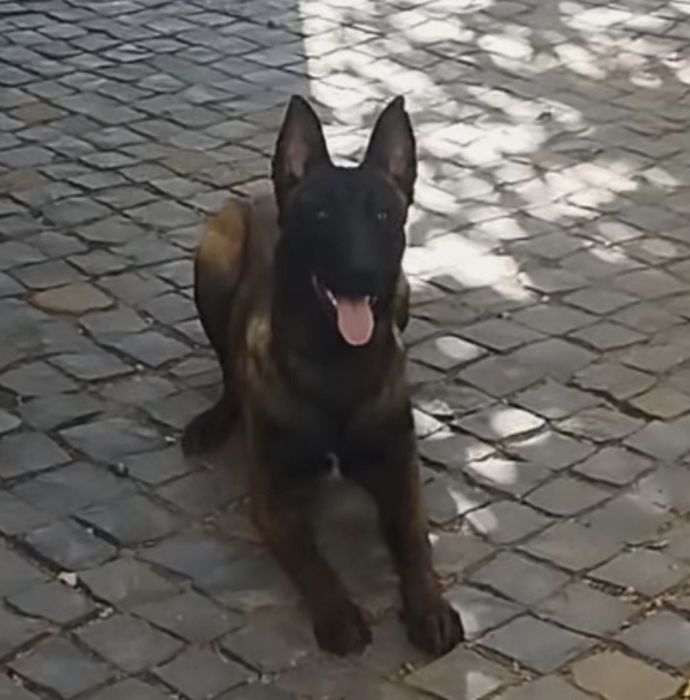 Пацан Малінуа для в'язки