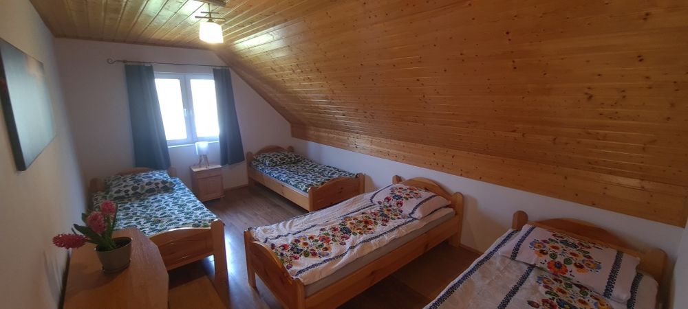 Domki w Gornym końcu Bieszczady Terka