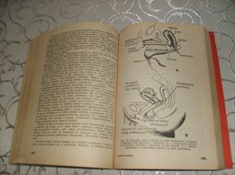 Sztuka Kochania Michalina Wislocka Wyd 1984 Bierun Bierun Nowy Olx Pl