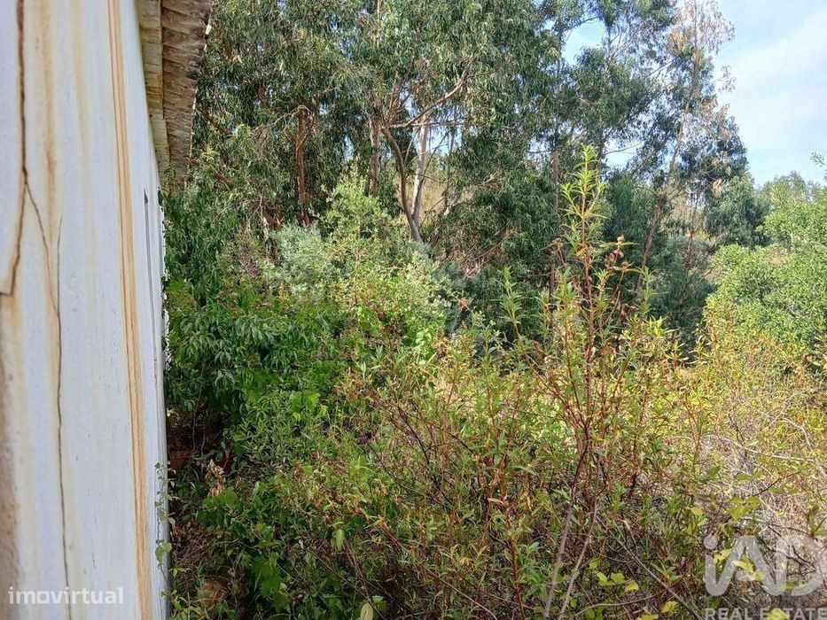 Quinta rural T1 em Sabóia de 80 m2