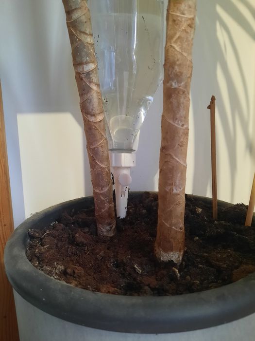 Regador de Plantas por Gravidade com Ajuste