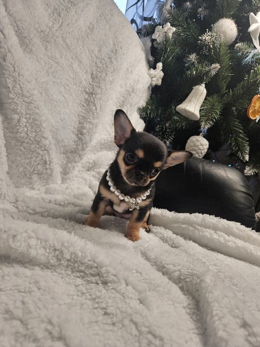 Prześliczna dziewczynka