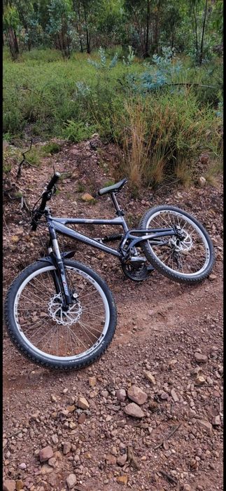 Vendo Saracen raw 2