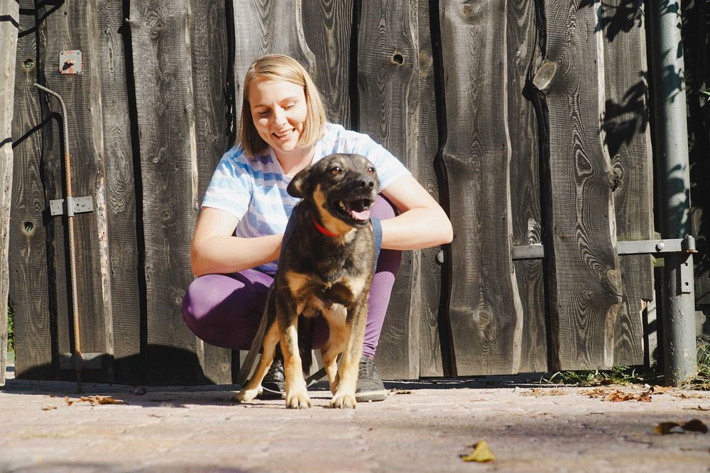 Kefir - niewielki piesek