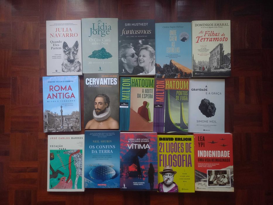 Lote de 90 livros