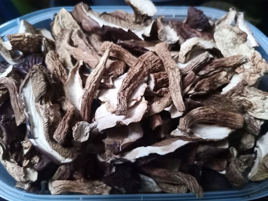 Grzyby leśne suszone - podgrzybki 28zł