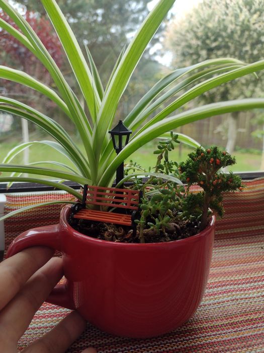 Квіткові композиції