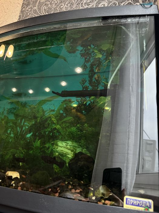 АКВАРИУМ 200л Самовывоз Кривой Рог,Даманский