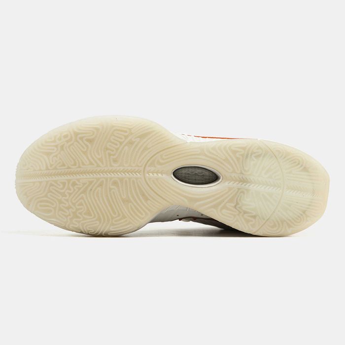 Мужские кроссовки Nike LeBron 21 "Akoya" Размеры 40-46