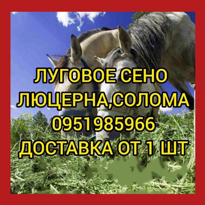 СЕНО для лошадей крс коз овец в тюках мешках дикорастущее сіно.