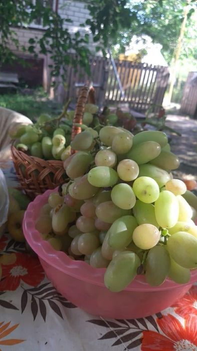 С. ВОРОНИНЦІ, Будинок  біля   Дніпра, з Газом та пічним опаленням