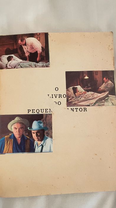 O Livro Do Pequeno Cantor