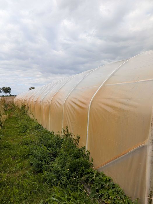 Tunel foliowy 7x30