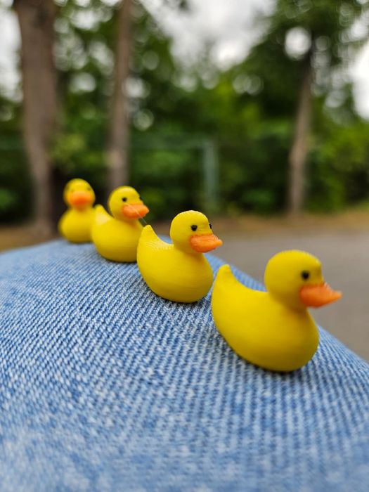 Mini Patinhos Amarelos para Esconder