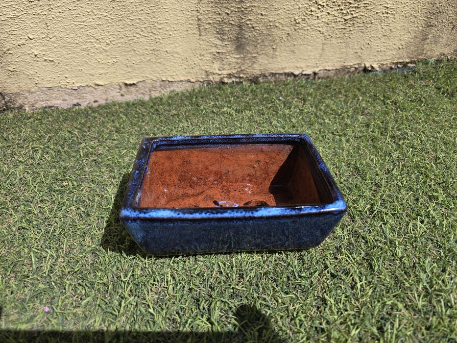 Vaso bonsai azul