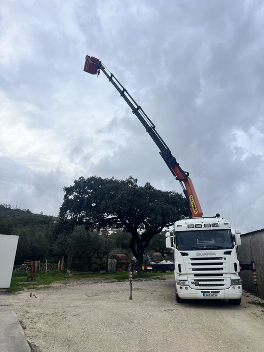 Corte arvores grande porte