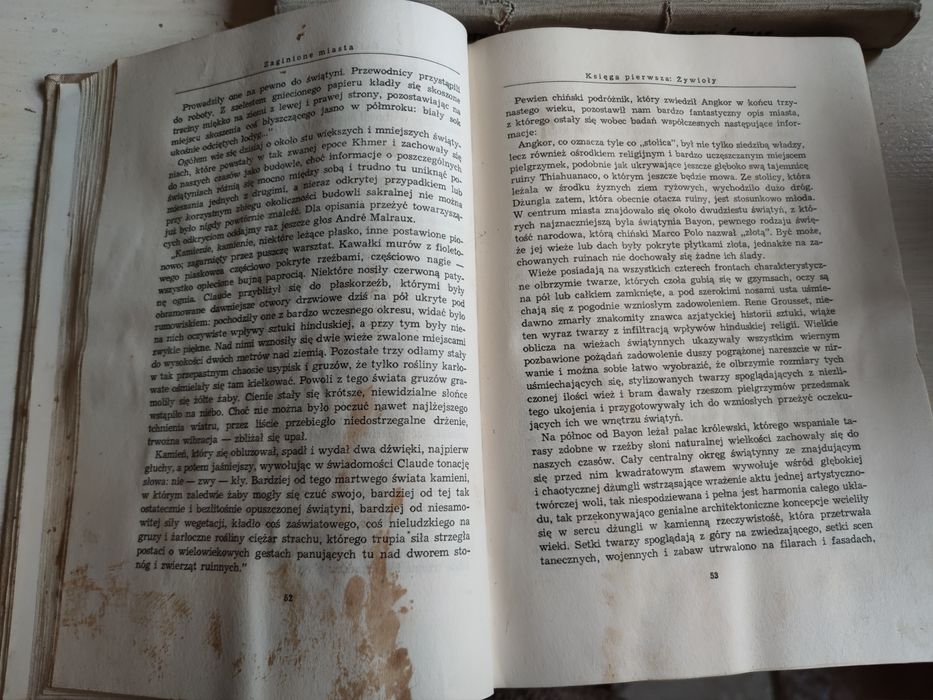 Zaginione miasta. H. i G. Schreiber