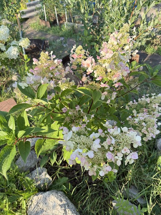 Продам дачу Ледное