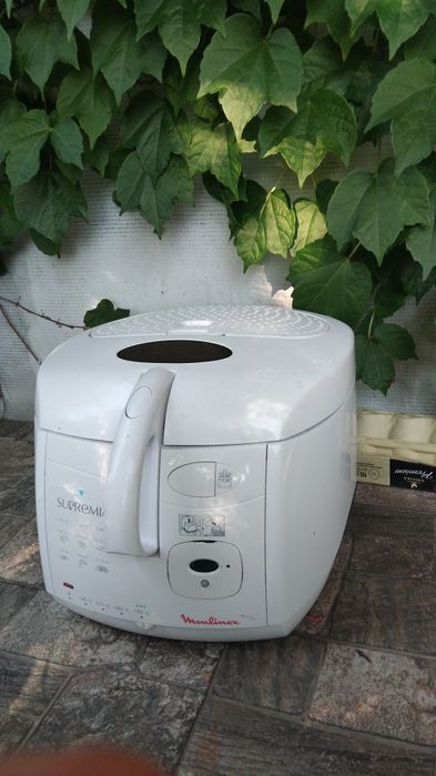 Фретюрниця молінекс