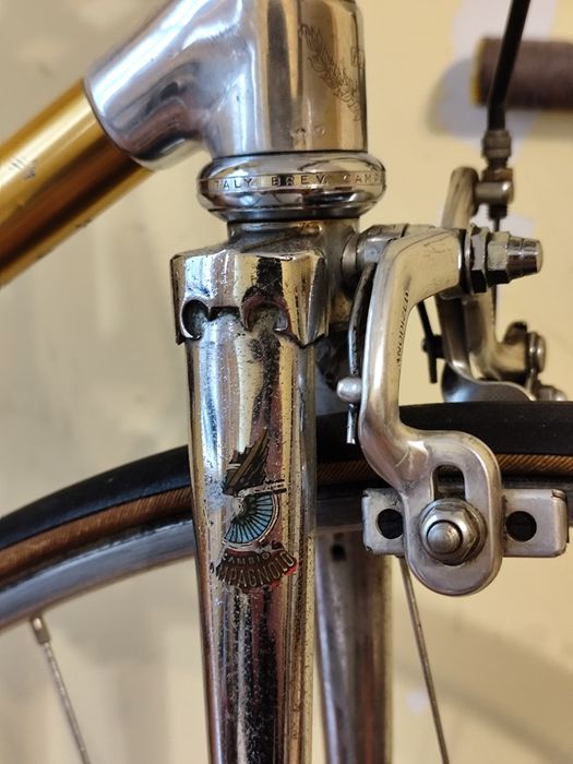 Kolarzowka złota Waja Alan Campagnolo 57cm