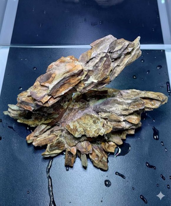 Hardscape Dragon Stone "Dragon’s Wing" Akwarium Kostka