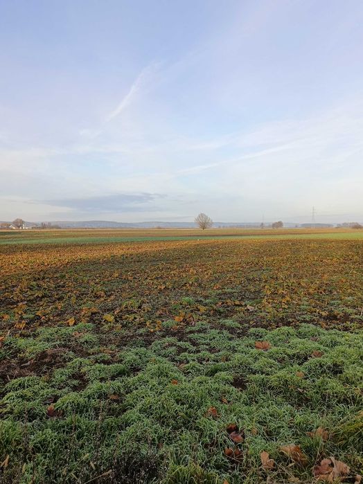 Działki na sprzedaż