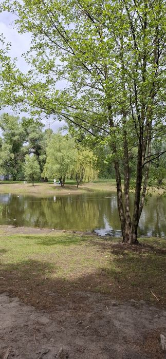 Продам земельну ділянку  біля соснового лісу та озера 3 занасип
