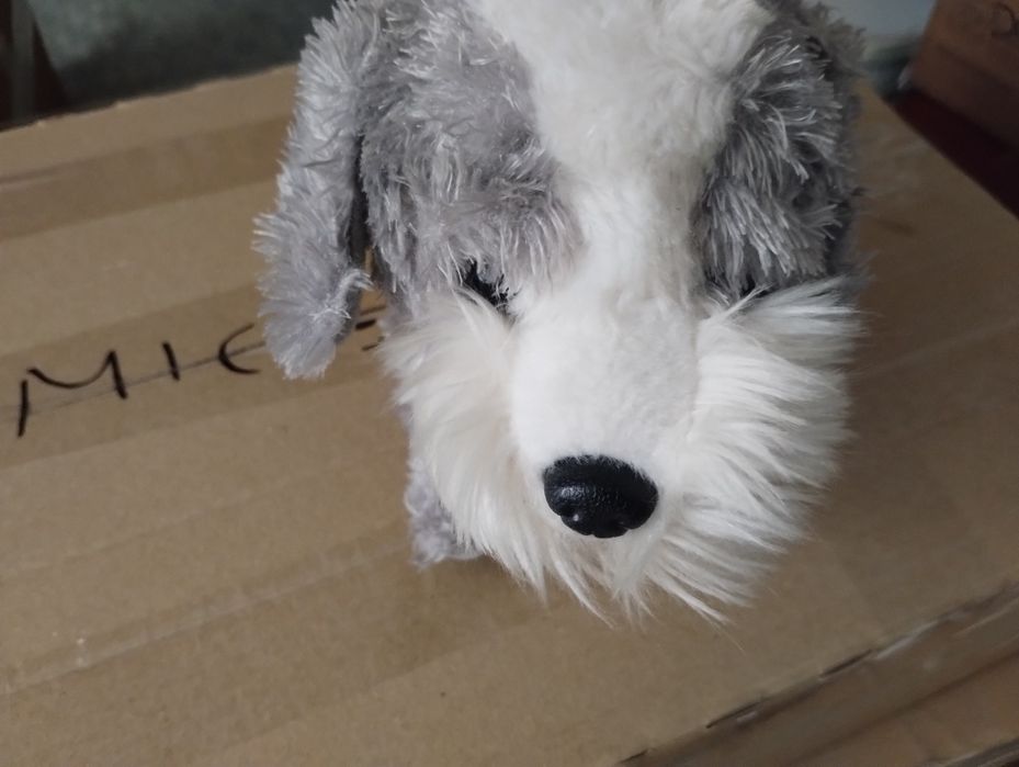 Dogs pieski mówiące interaktywne