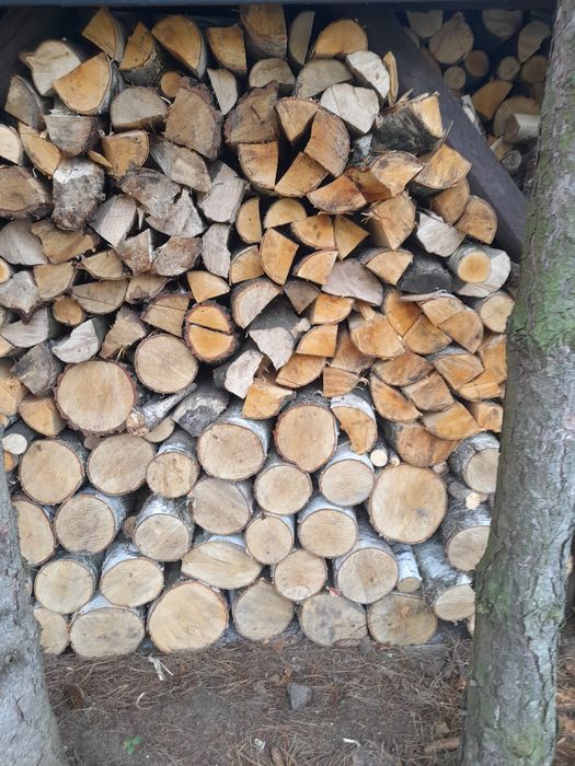 Drewno opałoe Brzoza grab