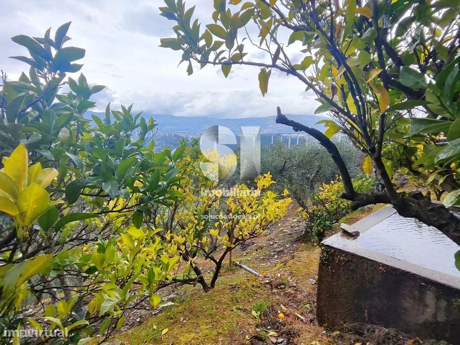 Terreno em Vila real