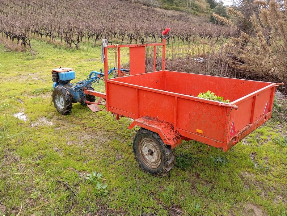 Motocultivador lombardini 14cv