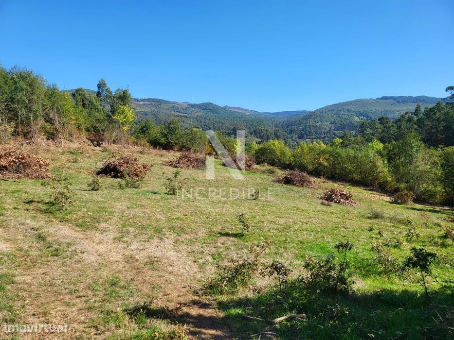Terreno  Venda em Bucos,Cabeceiras de Basto