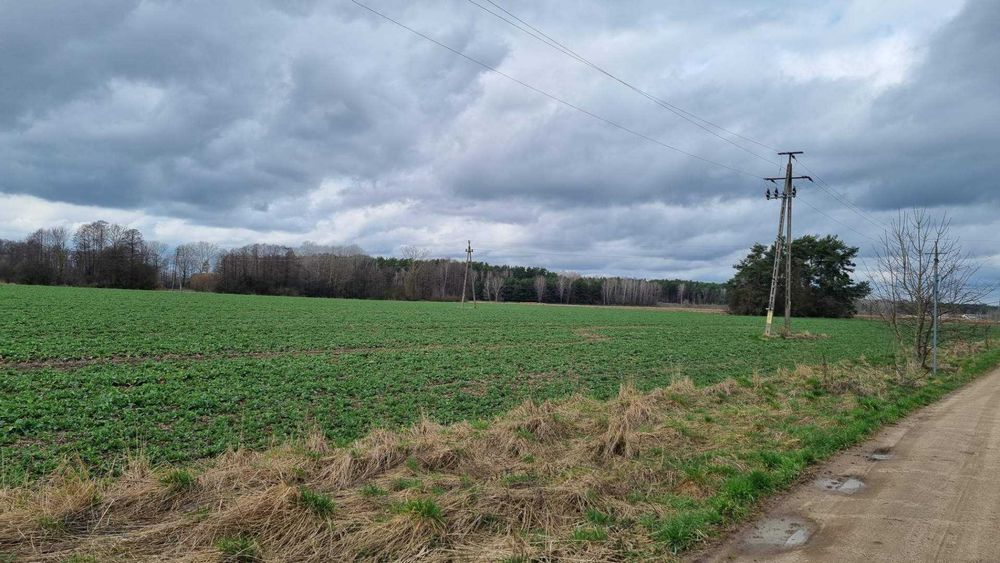 Działki inwestycyjne 10,06 ha z WZ | Zimnochy Susły | 1,4 mln zł