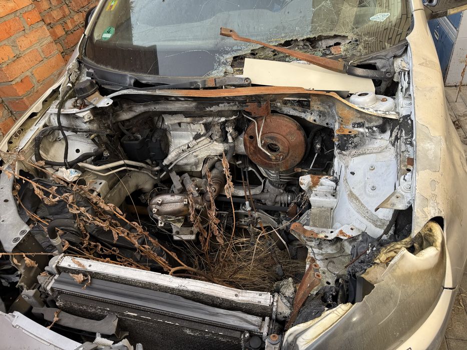 Volkswagen Golf 2011