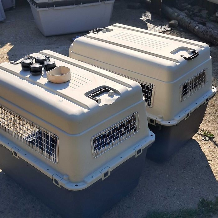 Nowe Transportery Savic rozm 7