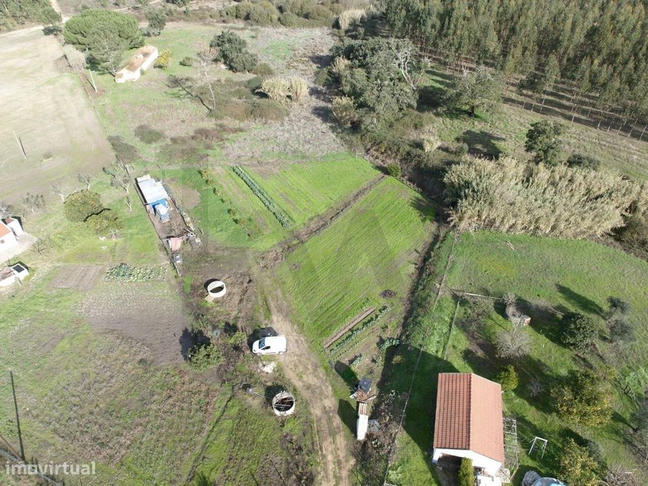 Terreno Rústico com 3.000 m2 em Vale de Água – Santiago do Cacém