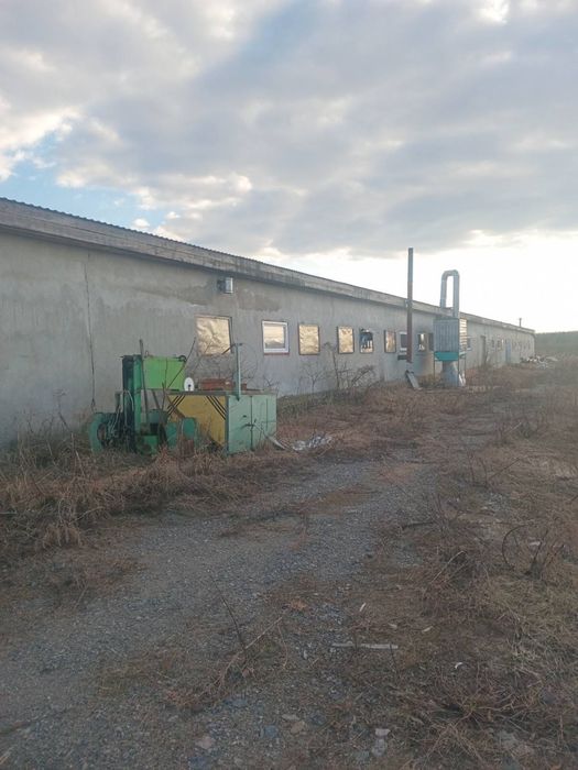 Продам 23 гектари готового бізнесу с.Мирча