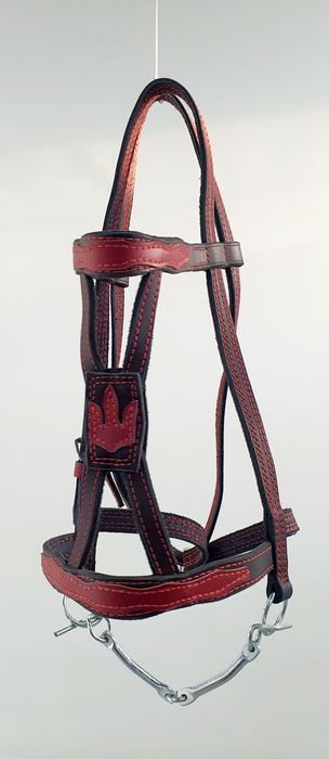 Вуздечка шкіряна,з шорками і без шорок, ручна робота