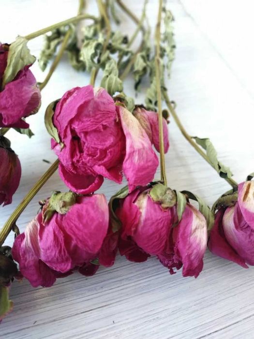 Сухоцвіти півонії зі стеблами бордові та рожеві. Букети сухих квітів