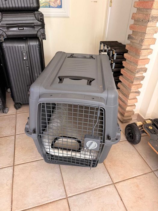 Caixa transportadora IATA cão tamanho 5 (81 x 56 x 60 cm), avião, com rodas, cama e taça