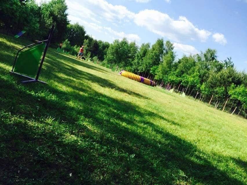 Wynajem dzialki pod dzialalnosc,szkolenia,rolnictwo