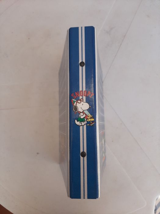 Dossier do Snoopy Woodstock