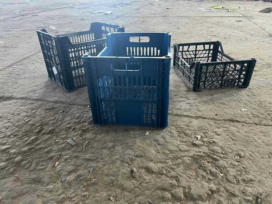 Ящик  овочевий, цитрусовий, грибний