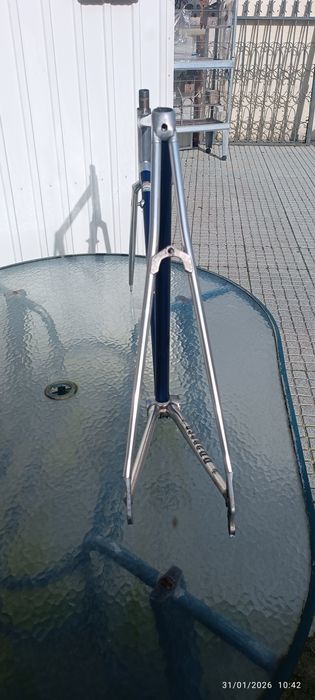 Quadro vitus  tamanho 58