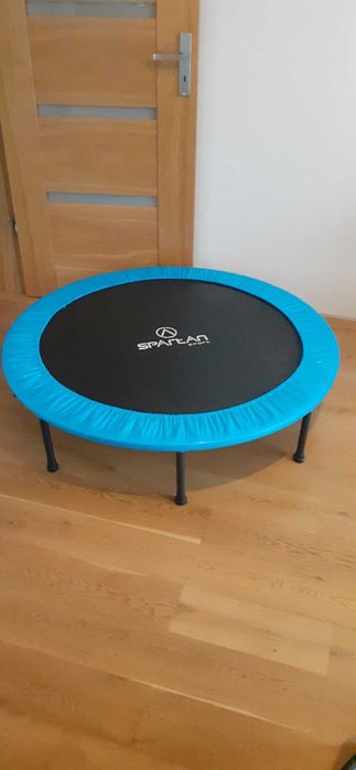Trampolina Domowa dla Dzieci SPARTAN 122 cm