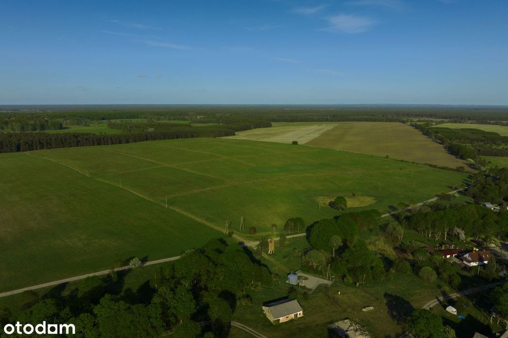 Działka nad Jeziorem Dołgie| las | natura - BUDOWLANA